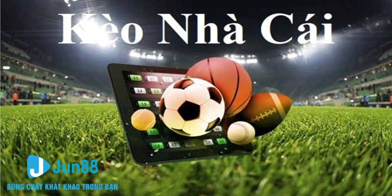 Kèo Nhà Cái - Bật Mí Các Dữ Liệu Hữu Ích Cho Thành Viên 1 Kèo nhà cái có ý nghĩa cơ bản như thế nào